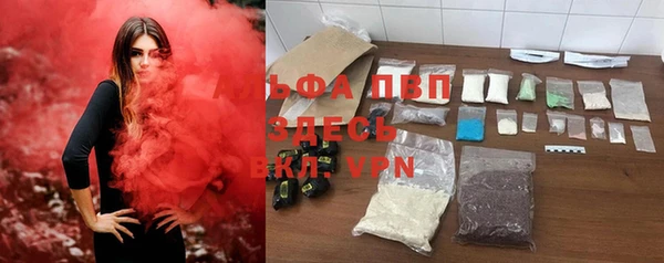 спиды Магас