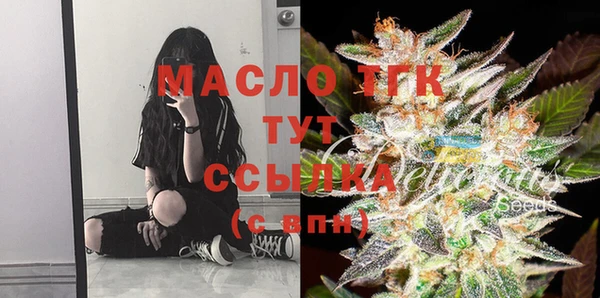 гашик Алексеевка