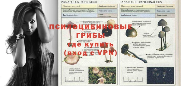 метадон Абдулино